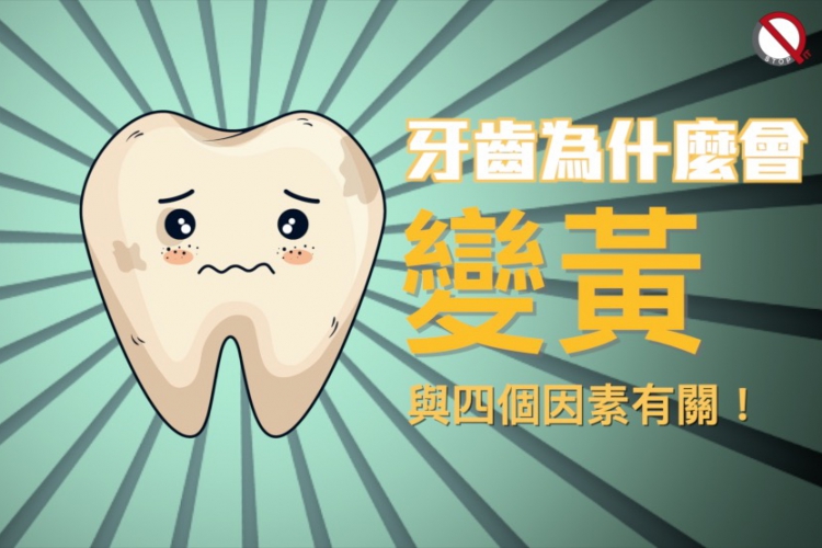 牙齒為什麼會變黃？與四個因素有關！